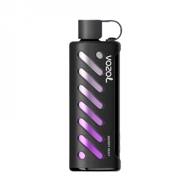 Vozol Gear Shisha 25000 Berry Mint