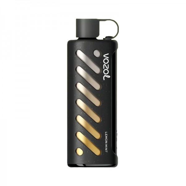Vozol Gear Shisha 25000 Lemon Mint