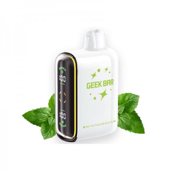 Geek Bar Pulse 15000 Miami Mint