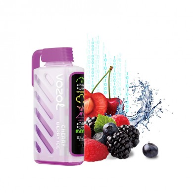 Vozol Gear Power 20000 Cherry Berry Ice