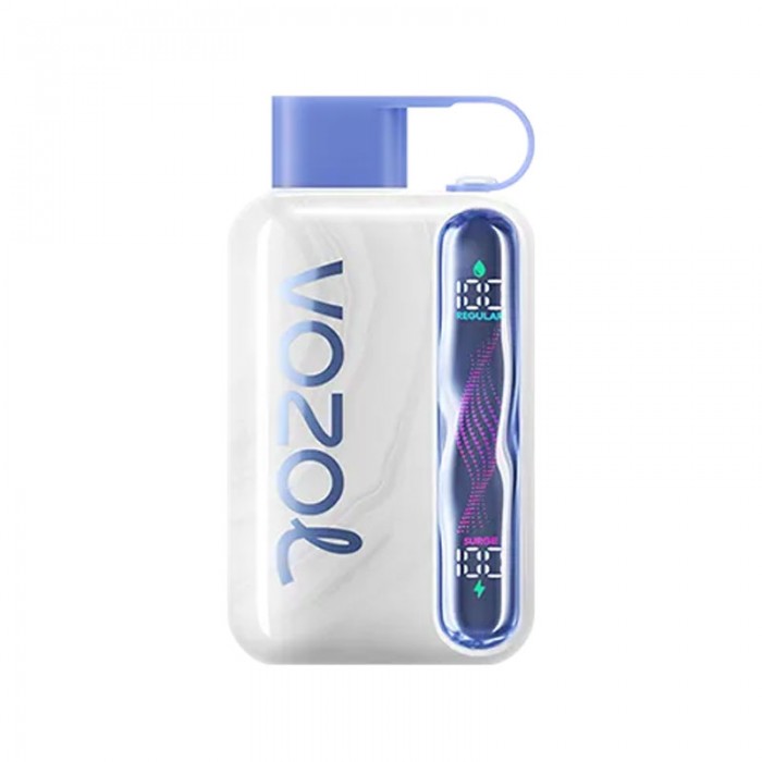 Vozol Star 40000 Blueberry Watermelon