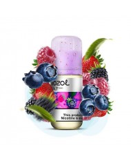 Vozol Prime Blueberry Ice Salt
